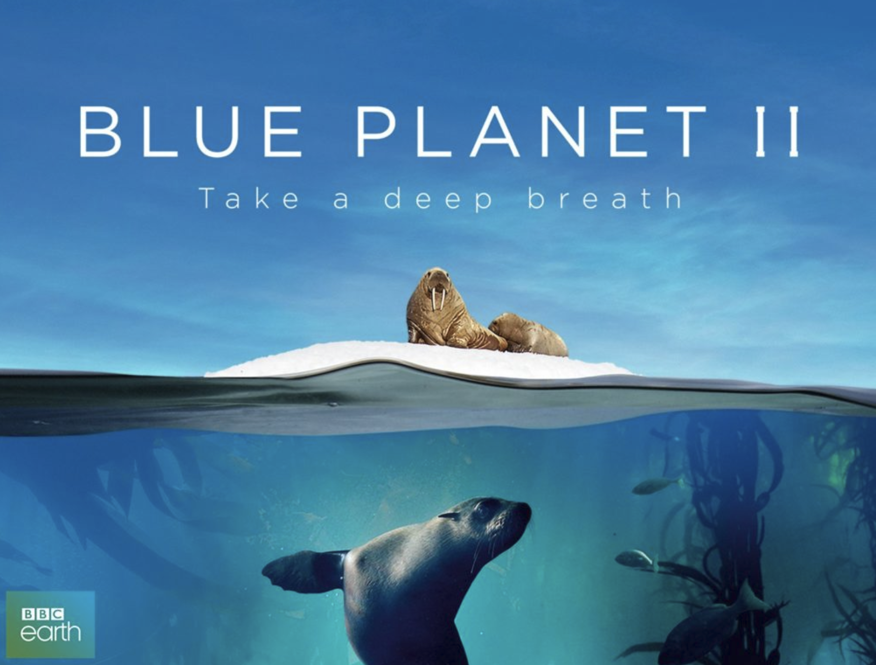 BBC lança série Blue Planet II, que conta com imagens de João Paulo Krajewski