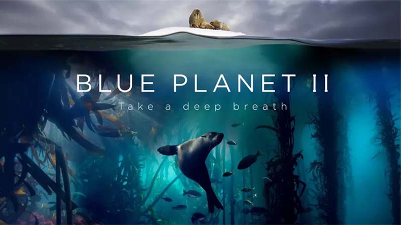 Take a deep breath. BBC Blue Planet II premieres soon, with images recorded by João