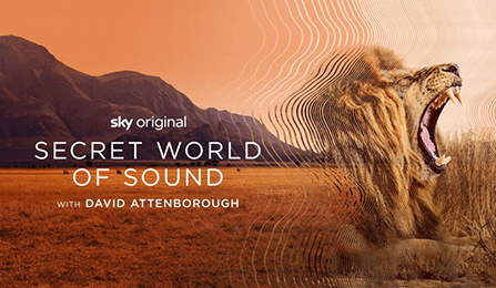 Secret World of Sound, from Humble Bee Films, launched on SkyNature