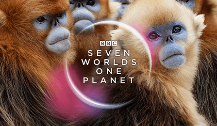BBC launches super series Seven Worlds, One Planet