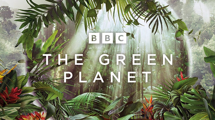 Super série The Green Planet é lançada pela BBC