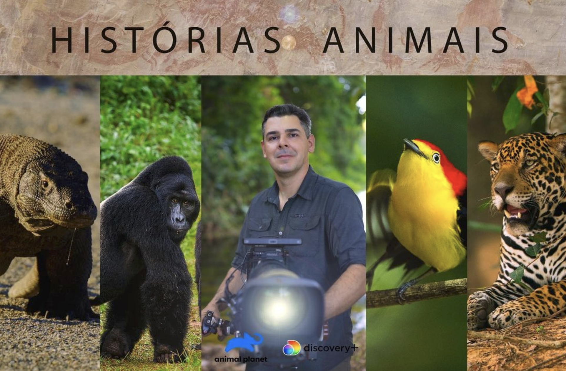 Histórias Animais agora na plataforma de streaming Max e no Animal Planet